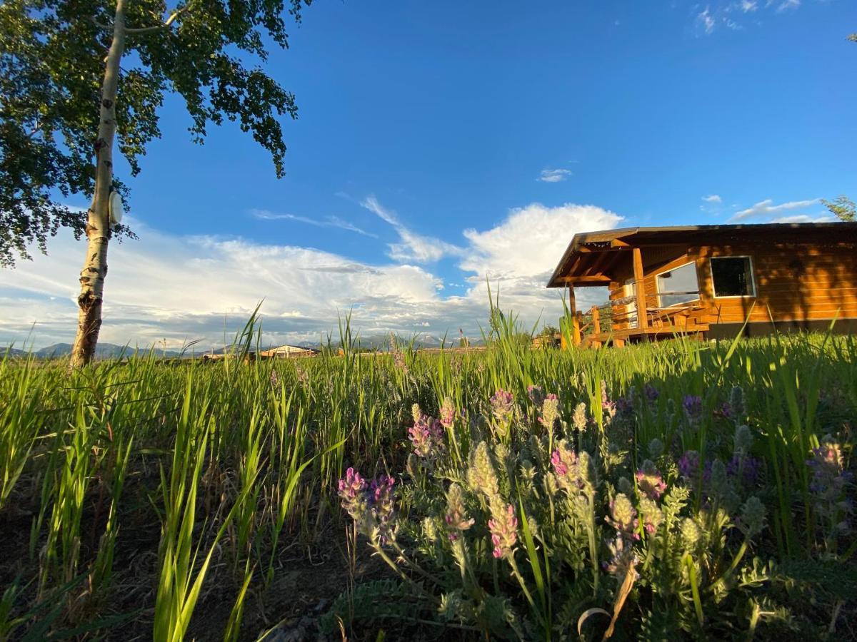 Вилла Oma'S And Opa'S Northern Lights Viewing Cabin Уайтхорс Экстерьер фото